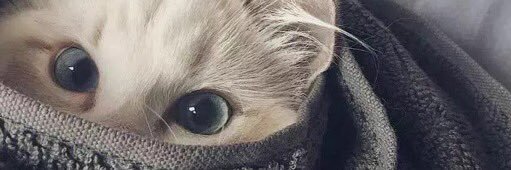 wuziye's profile banner image