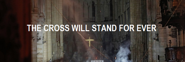 seed 30  2⃣➕2⃣=4⃣ banner