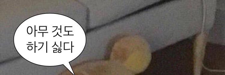 light_Bhyun56's profile banner image