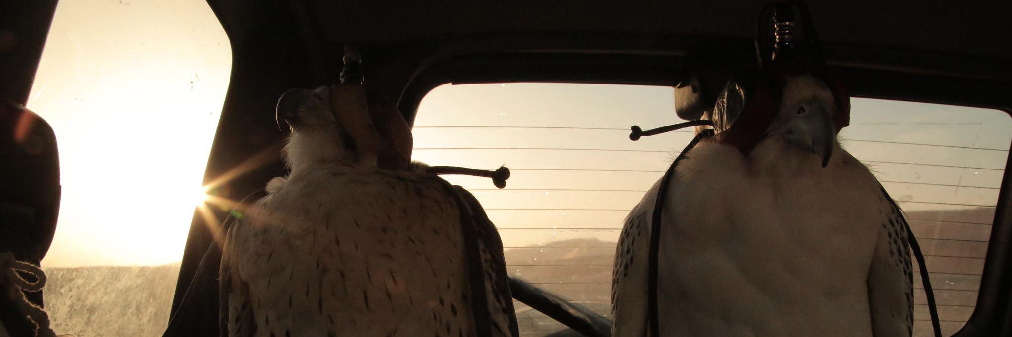 MatterFilms's profile banner image