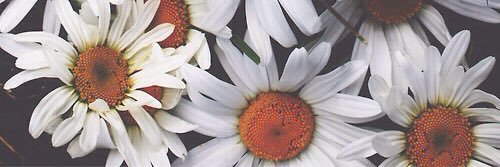 britney_129's profile banner image