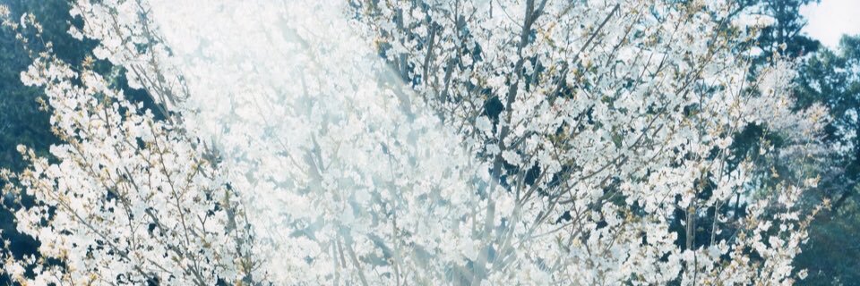 ffuguu's profile banner image