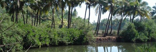 Anuradha Mascarenhas banner