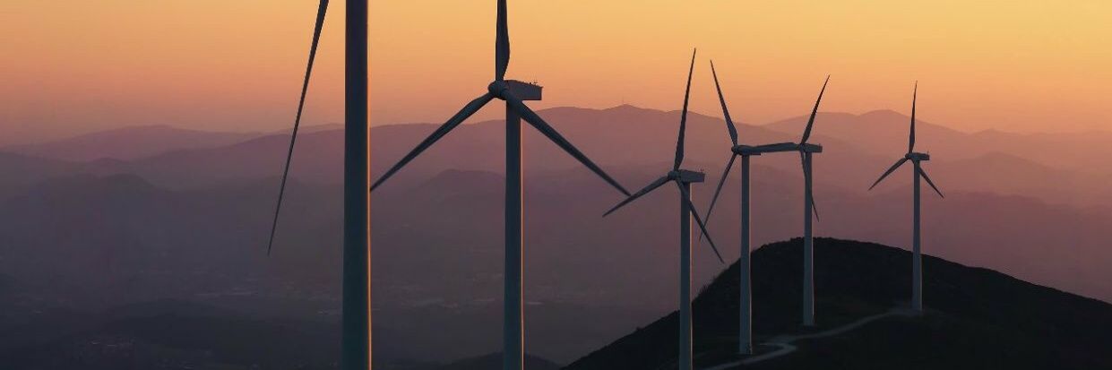 🤍هلا المراد🤍 banner