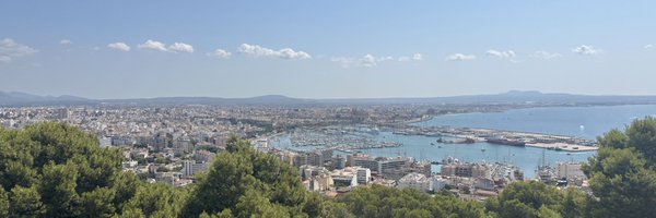 tom_bearded Profile Banner