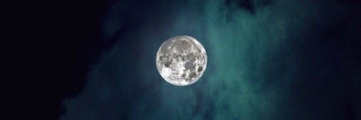 AbbiTheKidd's profile banner image