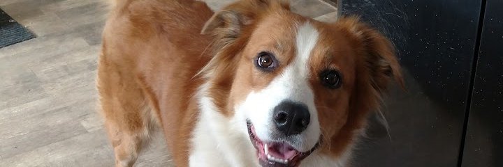 lesliedquick's profile banner image