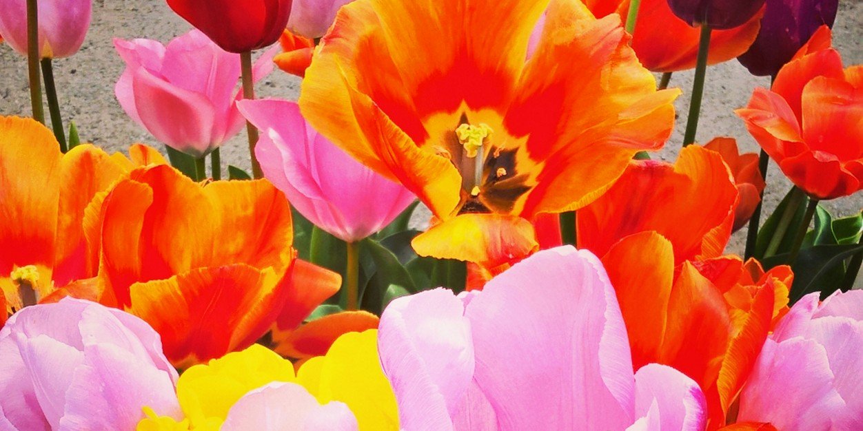 ZK_Photo_Design's profile banner image