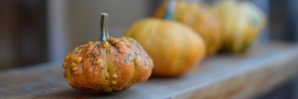 masahirogood15 Profile Banner