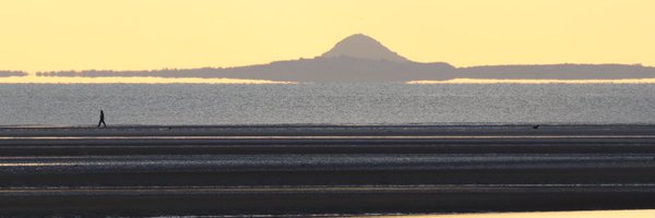 Patrick Limb Profile Banner