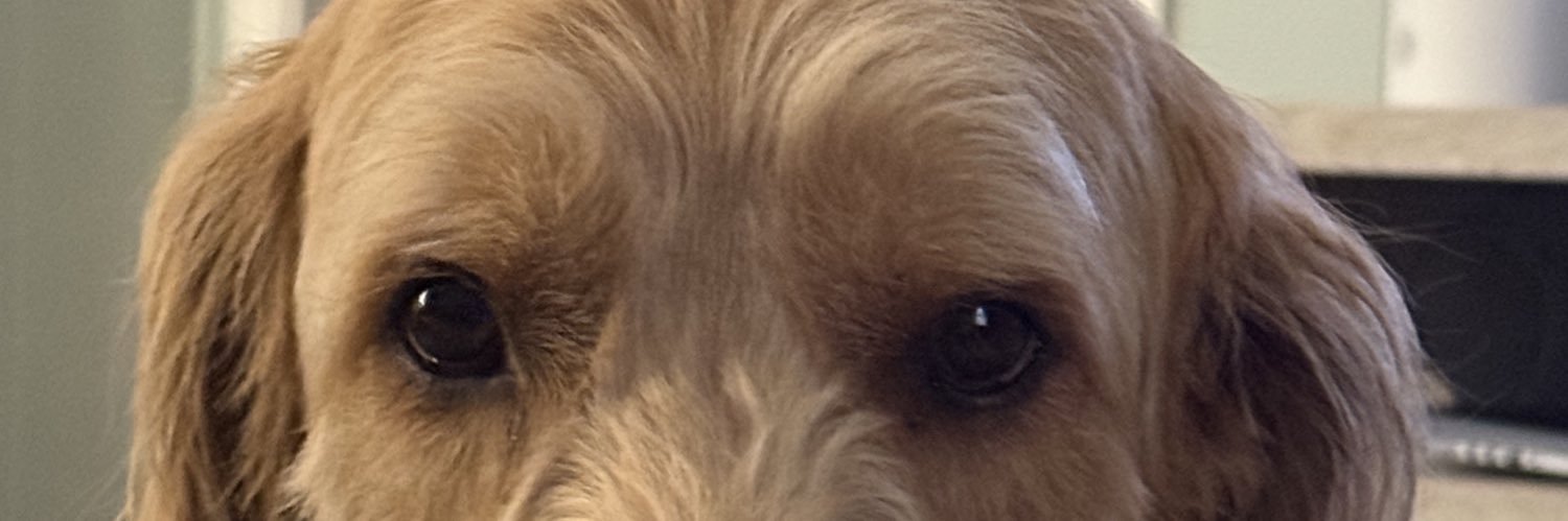 royboy1020's profile banner image