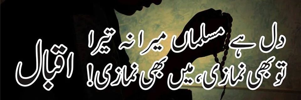 Urdu_Adab7's profile banner image