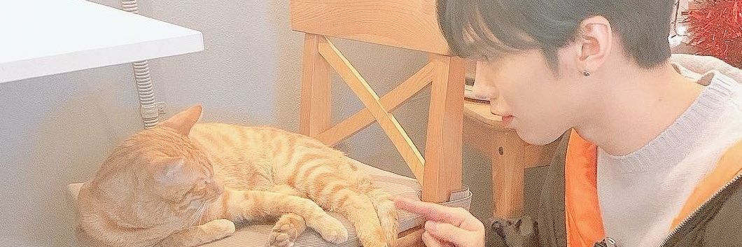 Ruby ✶ | 🌻🐺🐱🌹🌙 banner