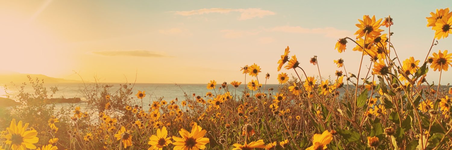 Caroo1211's profile banner image