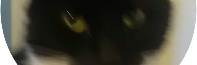 Azza banner