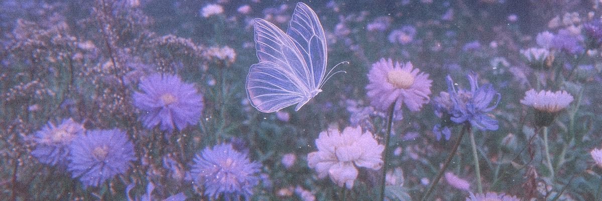 janopurplee's profile banner image