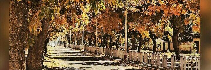 sumanpreet32's profile banner image