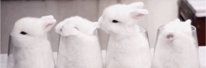 tag___IO3Ixx's profile banner image