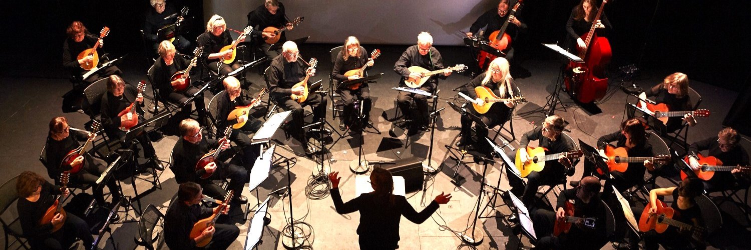 Fretful Federation banner