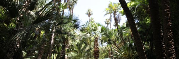 j_neidhardt Profile Banner