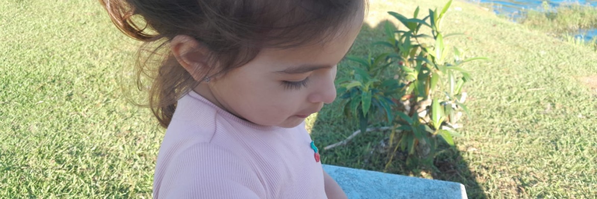 carolisilverio's profile banner image