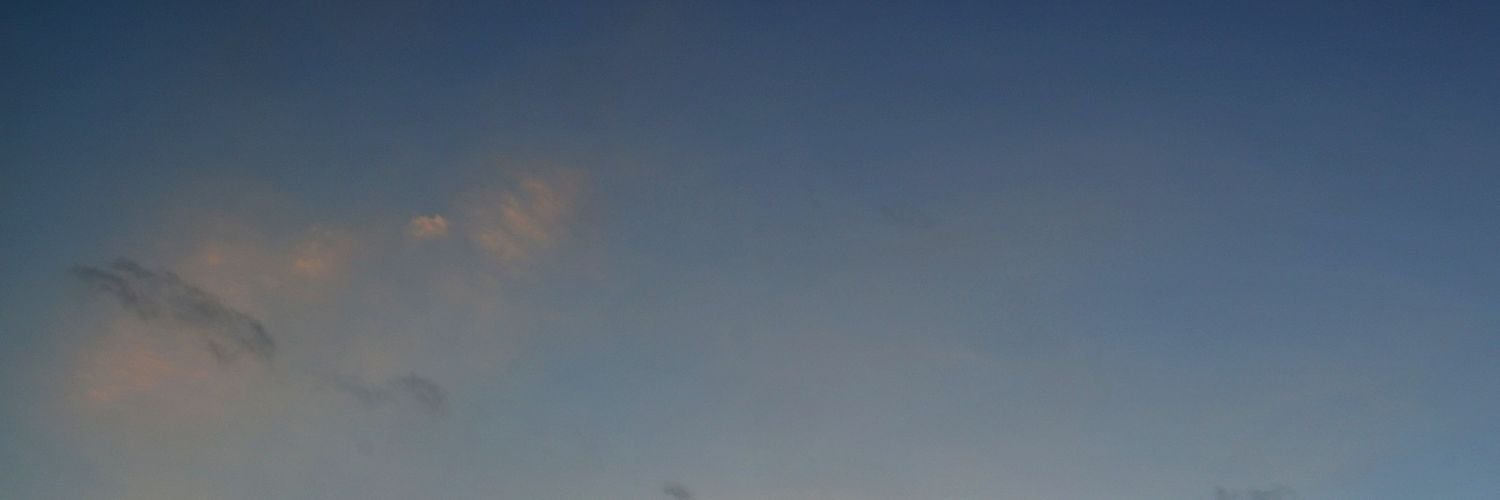 1Bear99's profile banner image