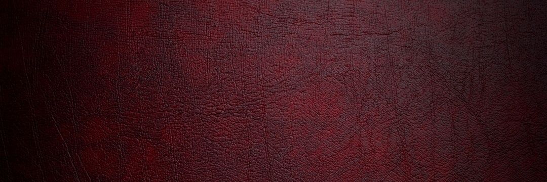 mcostara's profile banner image