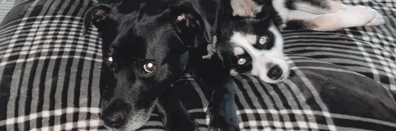 Jackson_Tyler20's profile banner image