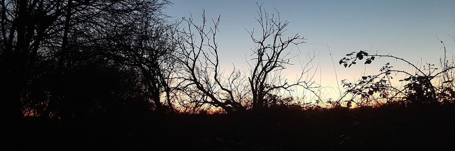 beautifulbizz's profile banner image
