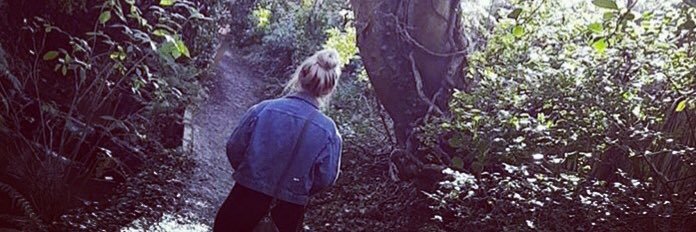 sophie_forde's profile banner image