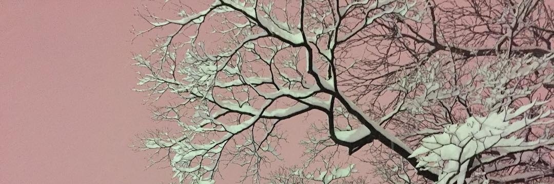 Snowland1803's profile banner image
