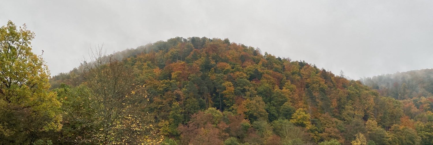 _aethenia's profile banner image