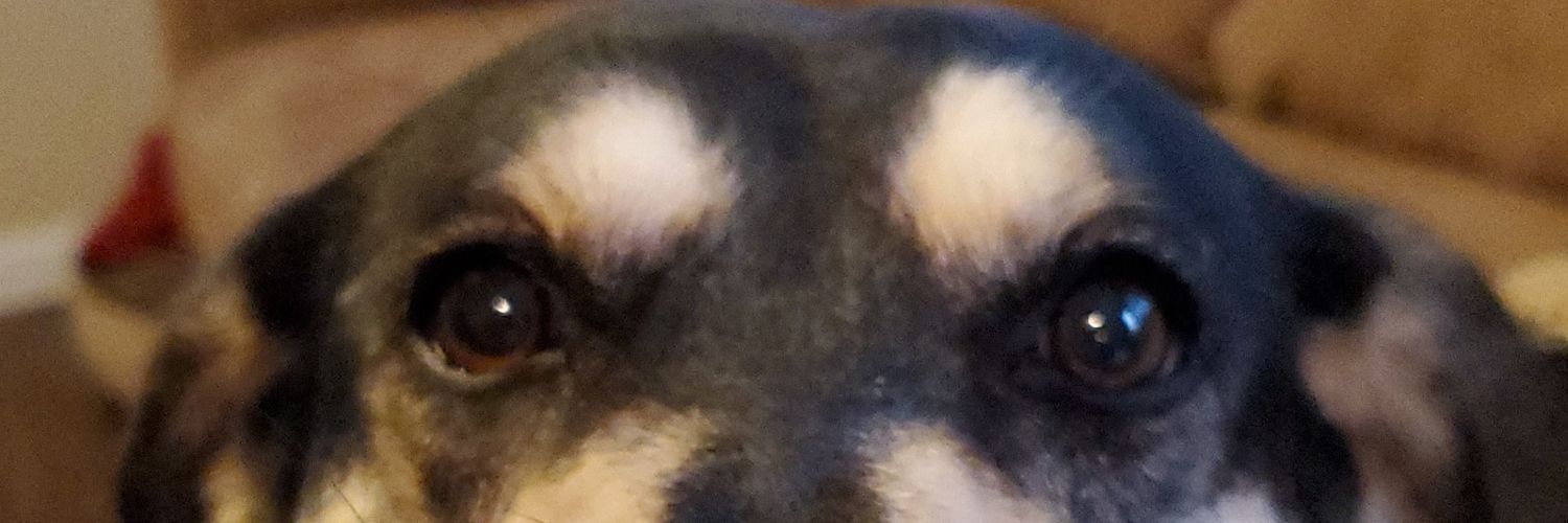 MaverickFreitas's profile banner image