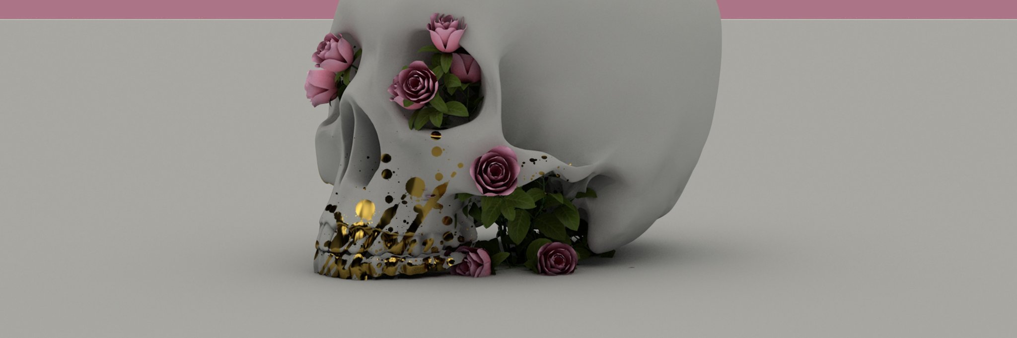 StemsCollective's profile banner image