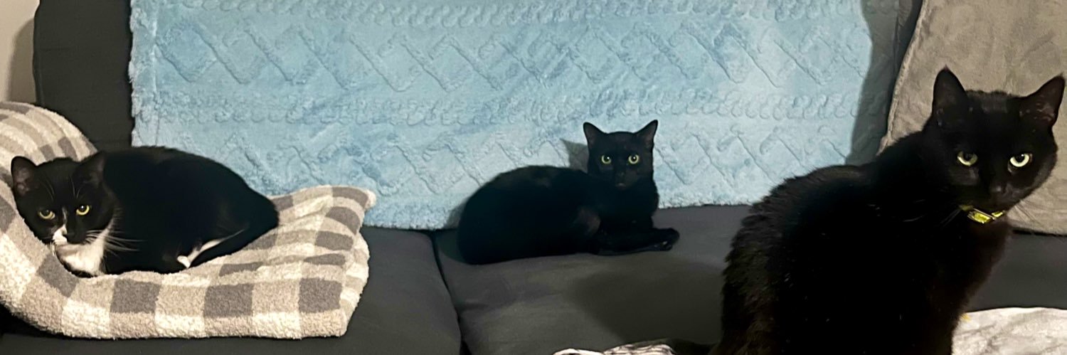 nnidia92's profile banner image