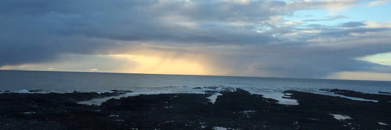 adellocatesen's profile banner image