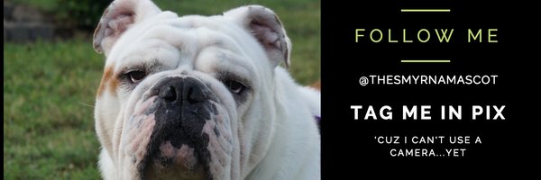 TheSmyrnaMascot Profile Banner