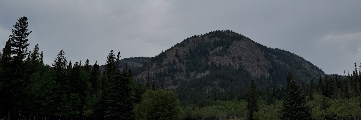 L V I $ banner