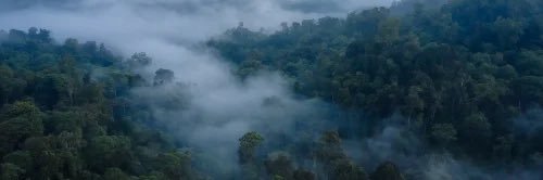 hollyollyv's profile banner image