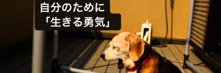 tutti0422's profile banner image