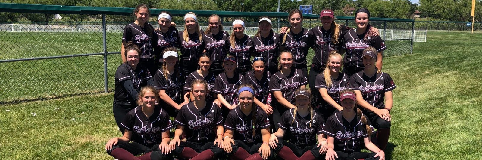 NW Batbusters banner