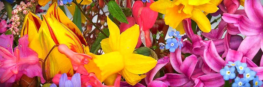 mrs_smithhart1's profile banner image