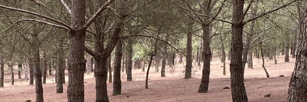 ea_marques Profile Banner