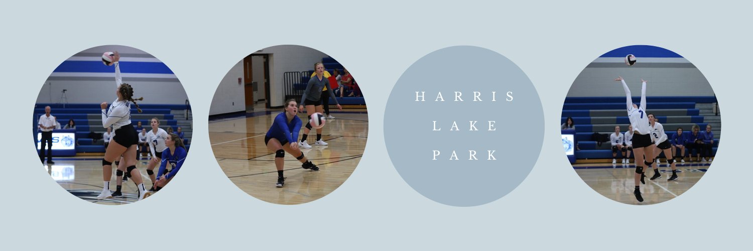 hlpwolvesvb's profile banner image