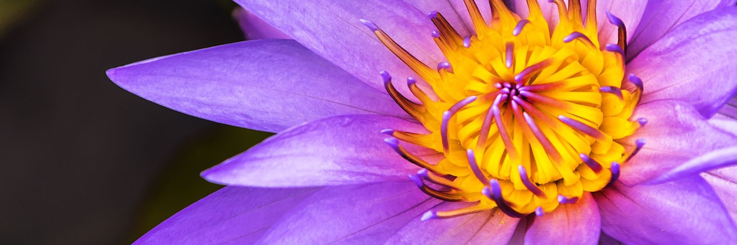 Excio Photo Community banner