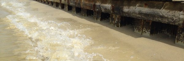 ambartle Profile Banner