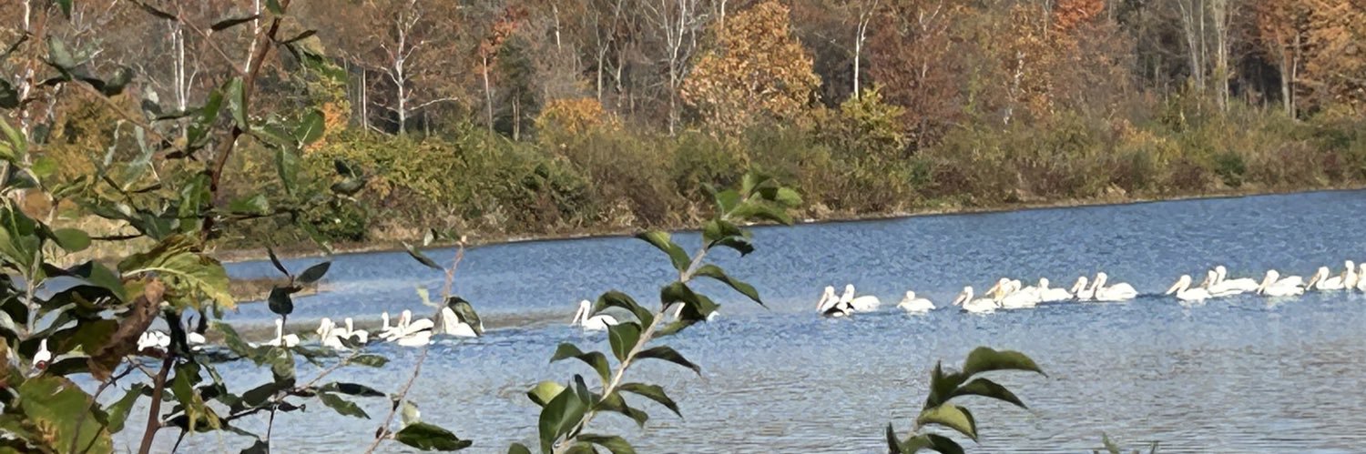 Cheryl Smolecki banner