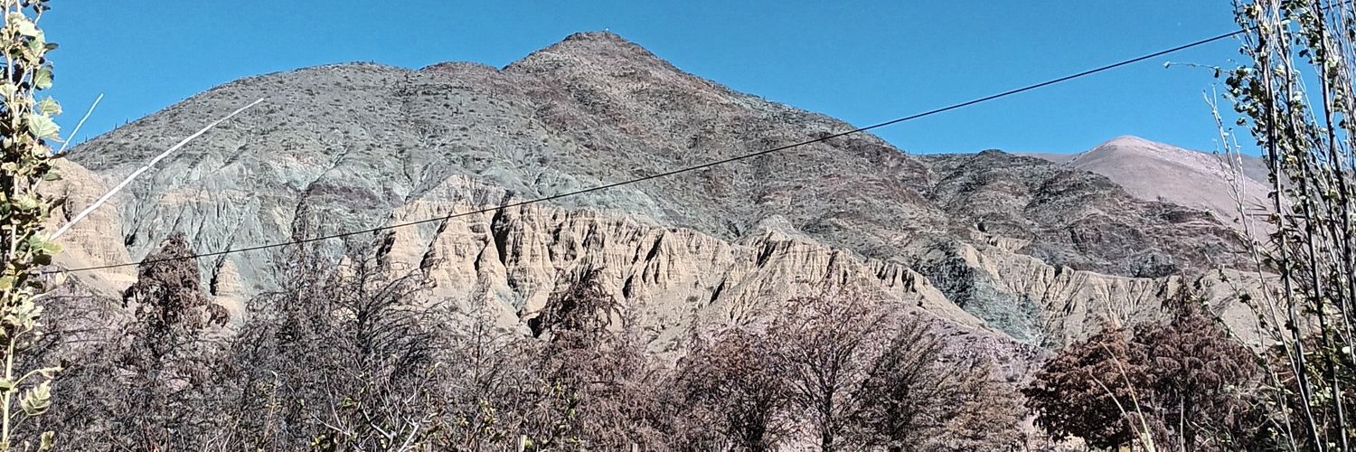 lauchamiranda's profile banner image