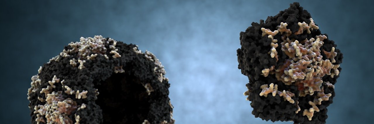 DShengjuler's profile banner image