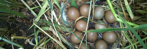 MarkAWhiteside Profile Banner